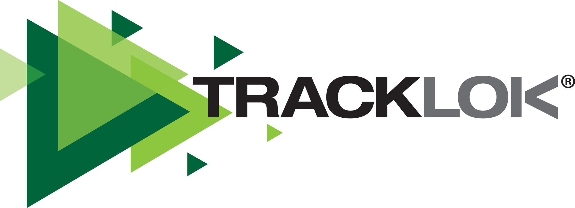 TRACKLOK_lockup_triangles TRACKLOK_lockup_triangles